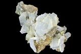 Blue Bladed Barite and Marcasite Association - Morocco #84863-2